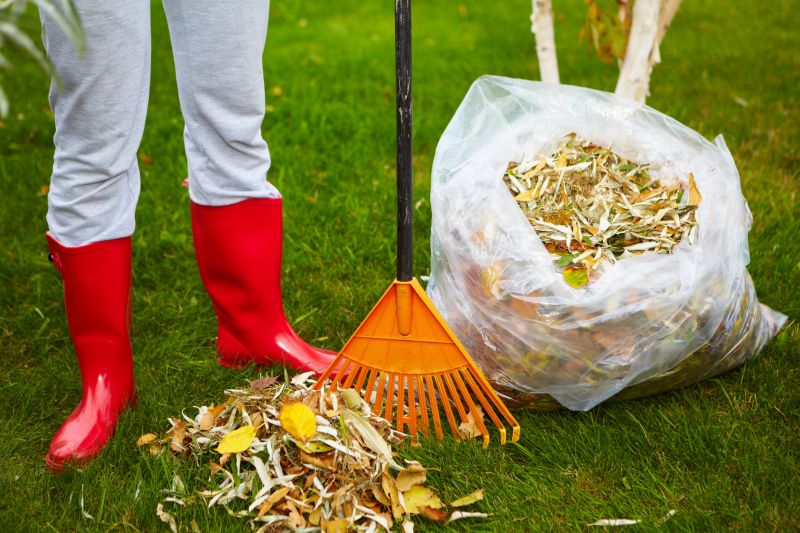 Leaf Pile Disposal Service