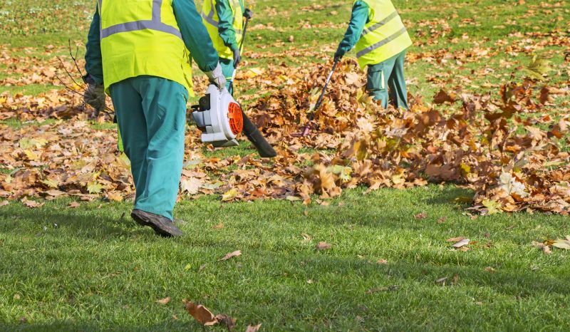 Contact About Leaf Pile Disposal
