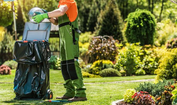 Spring Yard Cleaning