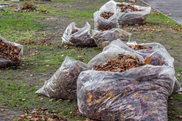 Grow your Leaf Pile Disposal business