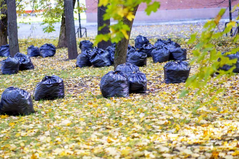 Leaf Pile Disposal
