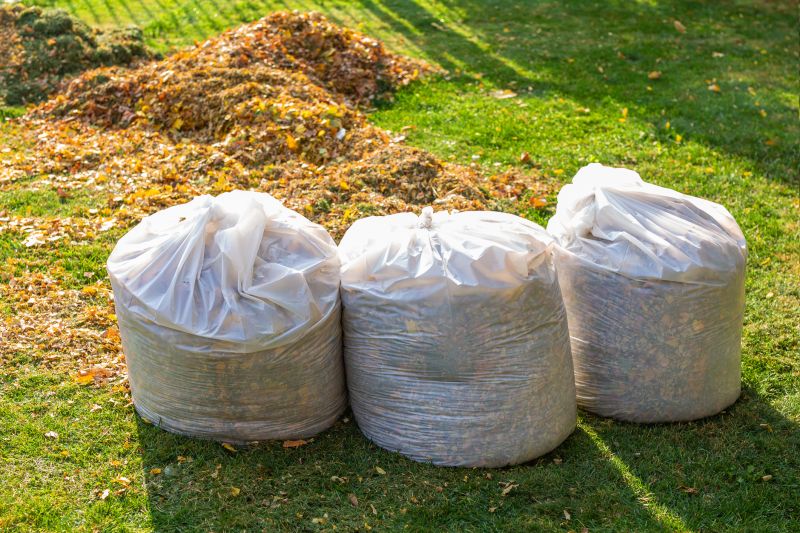 Leaf Pile Disposal