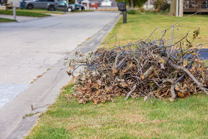 Leaf Pile Disposal