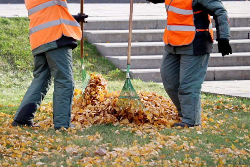 Leaf Pile Disposal