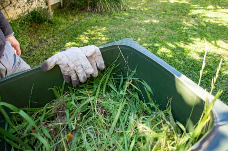 Products For Leaf Pile Disposals in use