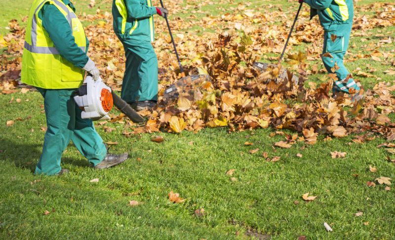 Experienced crew performing leaf cleanup